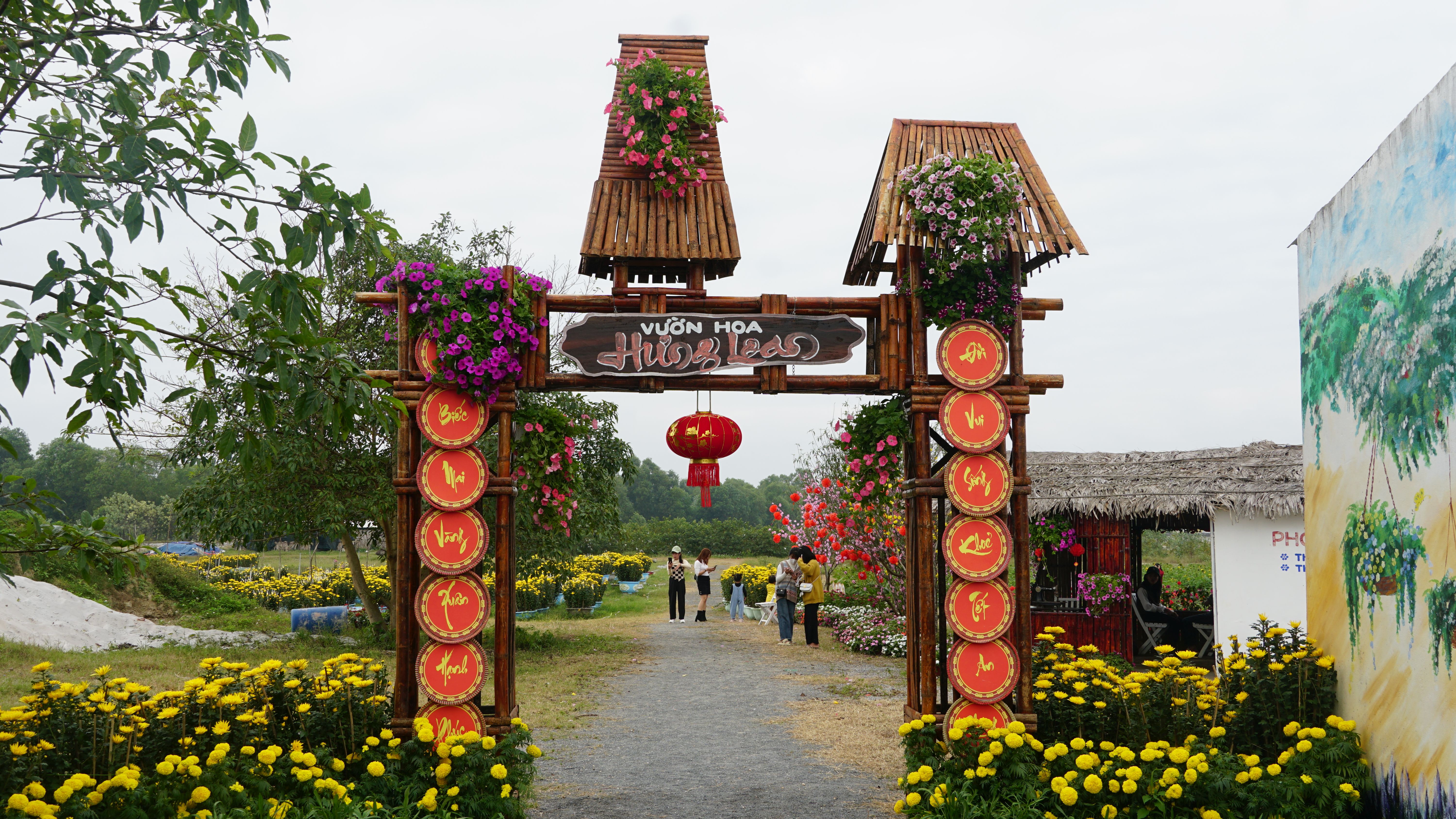 VƯỜN HOA HƯNG LOAN HÚT KHÁCH ĐẦU NĂM MỚI