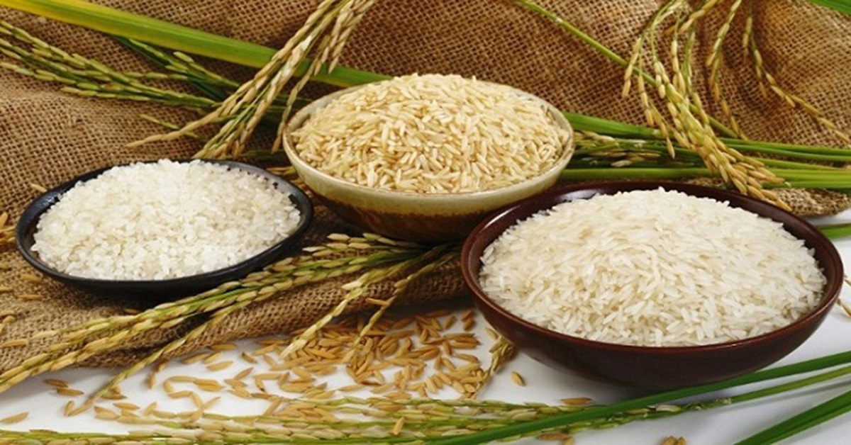 Tỉnh Quảng Trị cấp quyết định chủ trương đầu tư dự án Nhà máy xay xát gạo và công trình phụ trợ