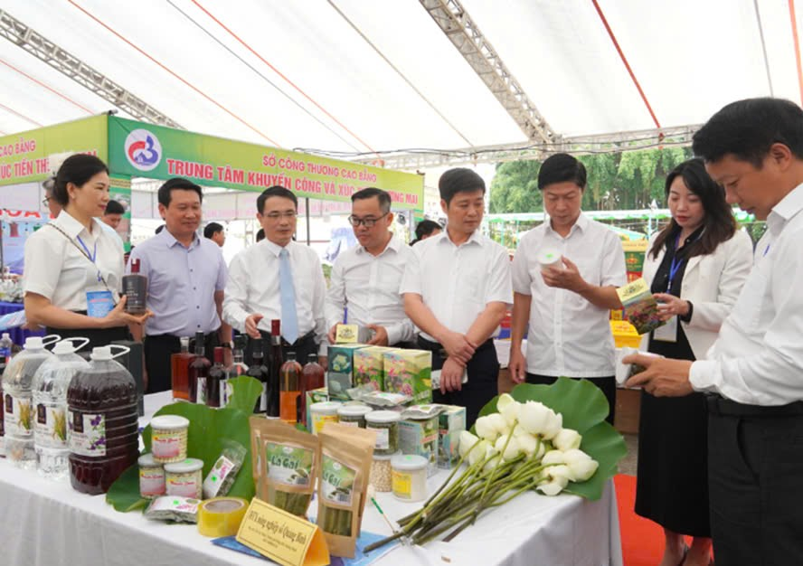 IPA QUẢNG TRỊ TỔ CHỨC ĐOÀN DOANH NGHIỆP THAM GIA HỘI CHỢ THƯƠNG MẠI KHU VỰC BẮC TRUNG BỘ – QUẢNG BÌNH 2025